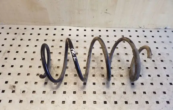 Front coil spring