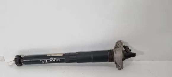 Porsche Cayenne (9Y0 9Y3) Rear shock absorber/damper 9Y0513031C