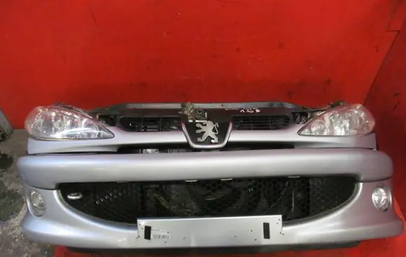 Peugeot 206 Front piece kit P206PASPRZEDNIKPL EZRC