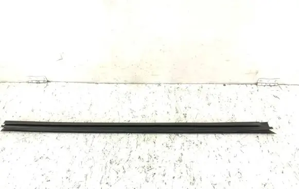 Renault Laguna III Rubber seal front door (on door) 