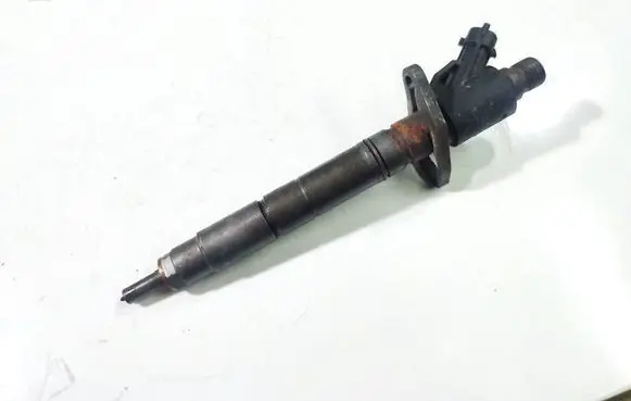 Volkswagen Phaeton Fuel injector 0445116