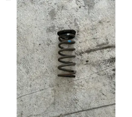 Opel Antara Rear coil spring