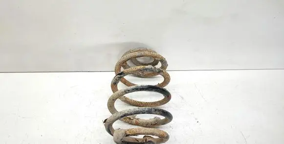 Opel Signum Rear coil spring