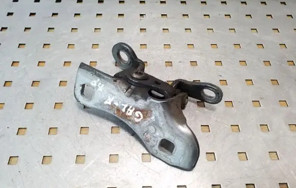 Chrysler 300 - 300C Rear door lower hinge 85574F