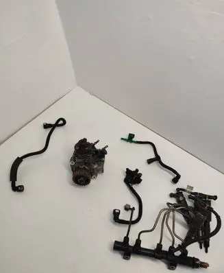 Peugeot 308 Fuel injection system set 0445100499