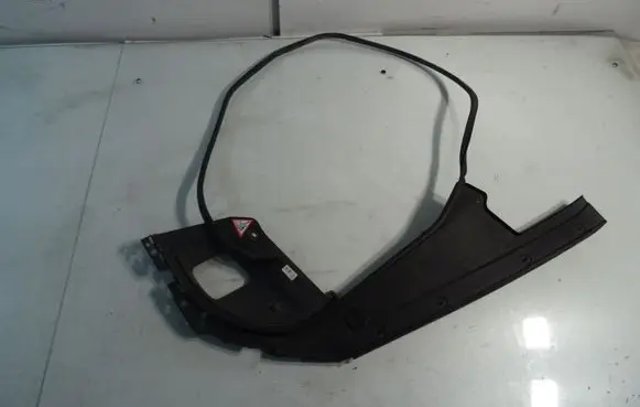 Engine bonnet/hood lock trim molding