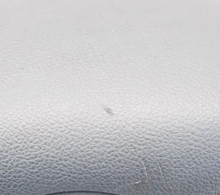 Dacia Sandero Steering wheel airbag 306636799