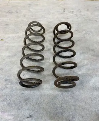 Rear coil spring