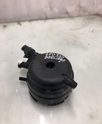 Citroen Berlingo Fuel filter 9816182880