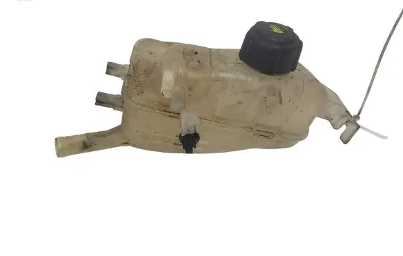 Renault Scenic III - Grand scenic III Coolant expansion tank/reservoir 217100005R