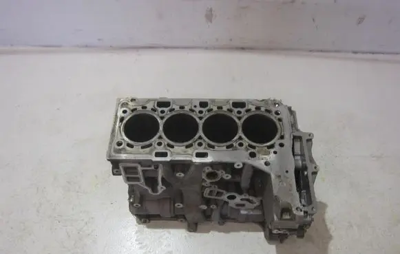 BMW X1 F48 F49 Engine block 1025331