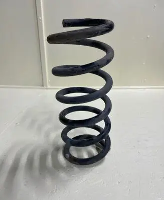 Rear coil spring