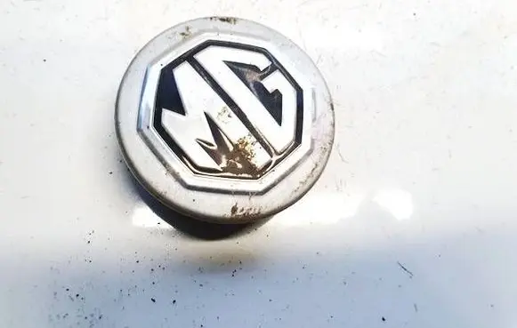 MG HS Original wheel cap 10071402