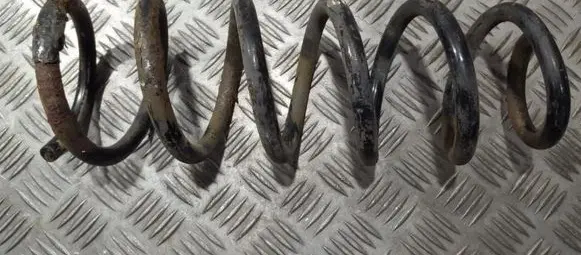 Rear coil spring