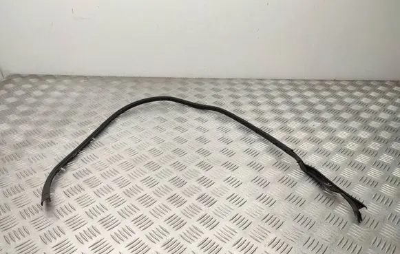 Peugeot Expert Front door rubber seal 9812881680