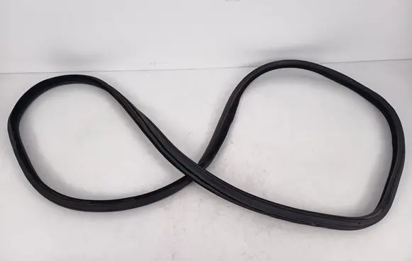 BMW 3 GT F34 Front door rubber seal 7323081