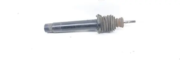 BMW X1 E84 Front shock absorber/damper 6789854