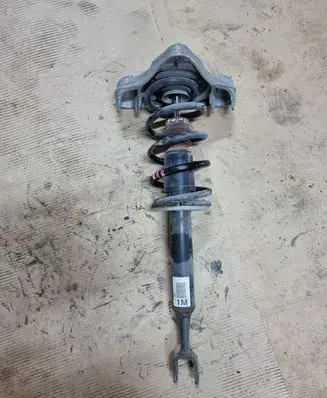 Seat Exeo (3R) Front shock absorber with coil spring E4302301