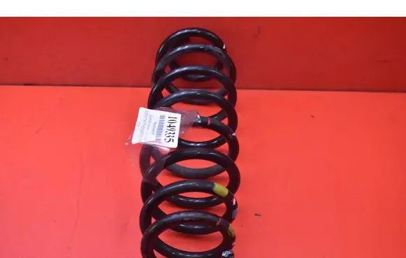 Hyundai Kona I Rear coil spring 