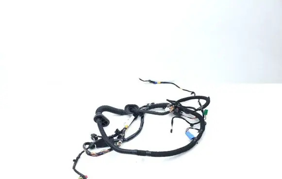 Front door wiring loom