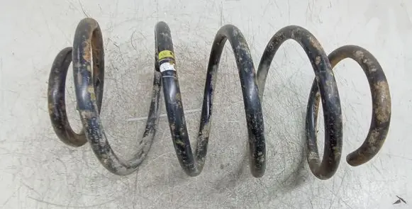 Front coil spring