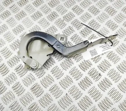Renault Zoe Engine bonnet/hood hinges 554018609R