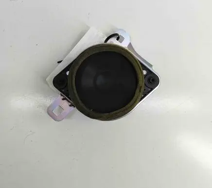 Panel speaker