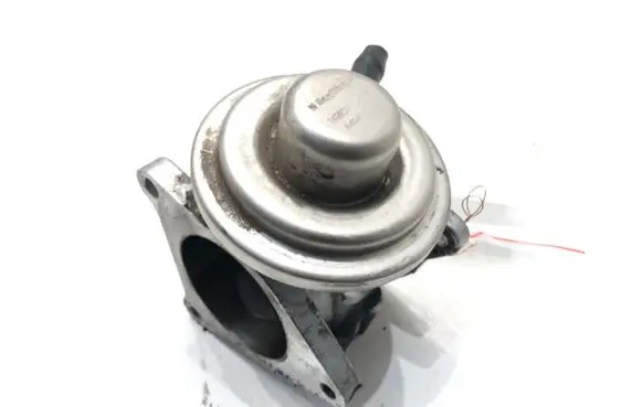 EGR valve
