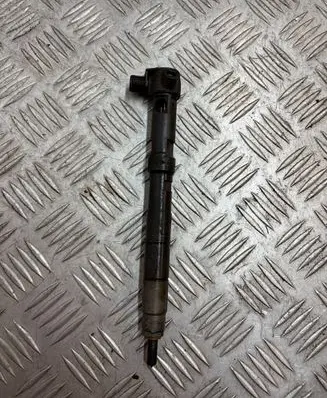 Volkswagen Polo V 6R Fuel injector 28231462 0235ED17R41