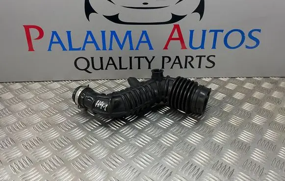 Nissan Juke I F15 Air intake hose/pipe 