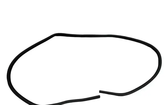 Dodge Charger Front door rubber seal