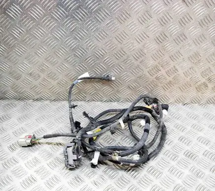 Tesla Model Y Other wiring loom 248905901A