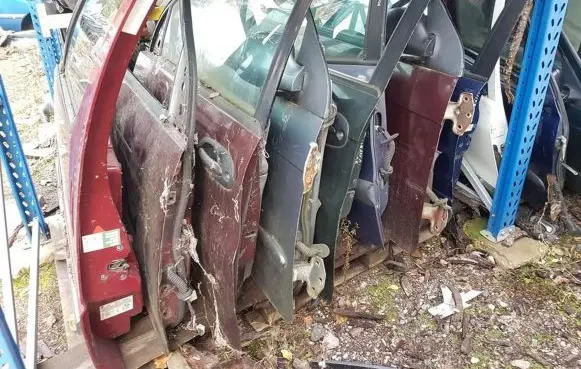 KIA Carnival Front door rudos