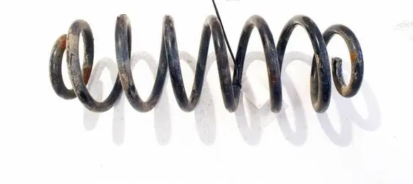 Volkswagen PASSAT B6 Rear coil spring 