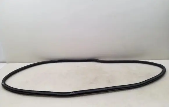 Opel Zafira B Front door rubber seal