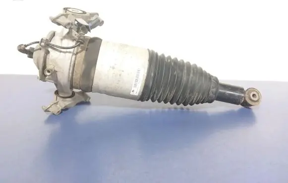 Porsche Cayenne (92A) Rear shock absorber/damper 7P5616019AB
