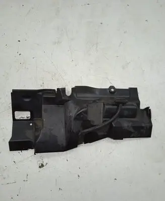 Engine bonnet/hood lock trim molding