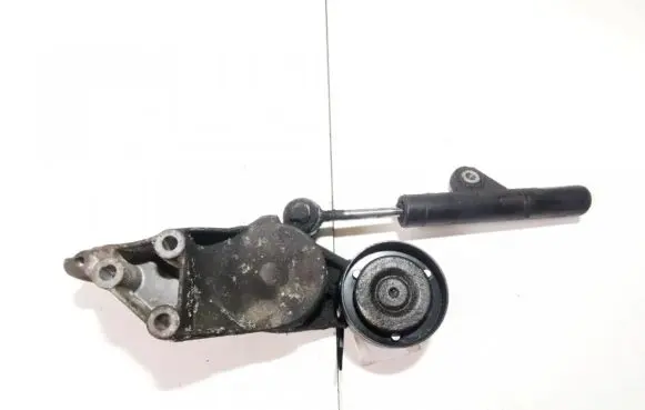 Seat Leon (1M) Generator/alternator belt tensioner 038903315C