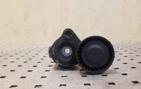 Opel Antara Generator/alternator belt tensioner 