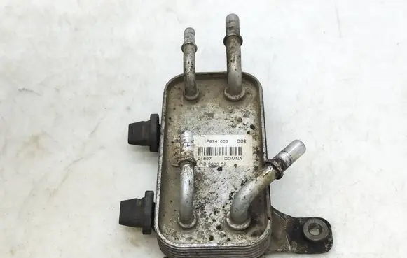 Land Rover Range Rover Sport L320 Fuel cooler (radiator) F8741003 21897 PIB500052