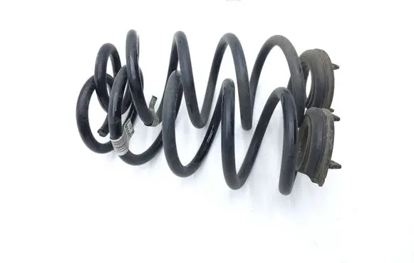 Rear coil spring