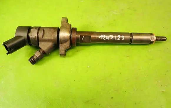 Citroen C5 Fuel injector 0445110297