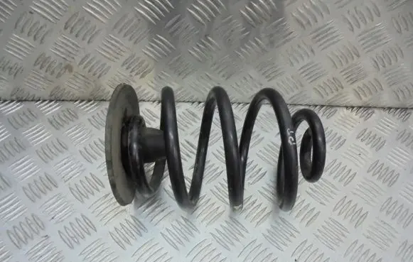 BMW 3 E46 Rear coil spring