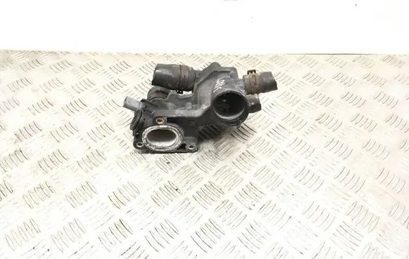Thermostat/thermostat housing