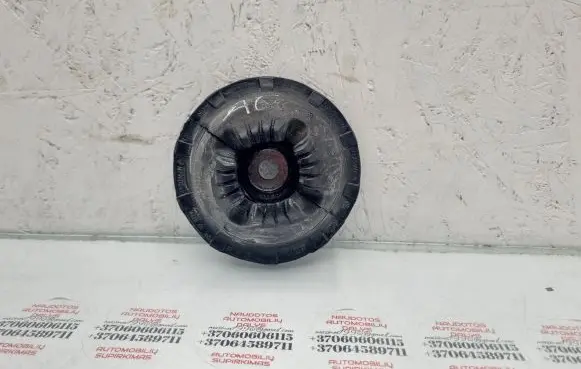 Coil spring mount