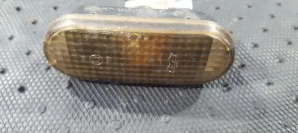 Front fender indicator light