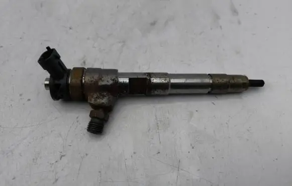 Nissan Qashqai Fuel injector H8201636333 0445110800