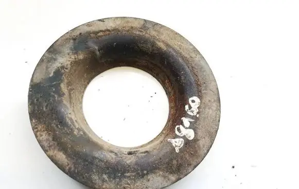 Coil spring mount