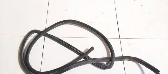 Renault Espace III Rubber seal rear door 