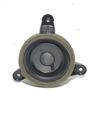 Front door speaker